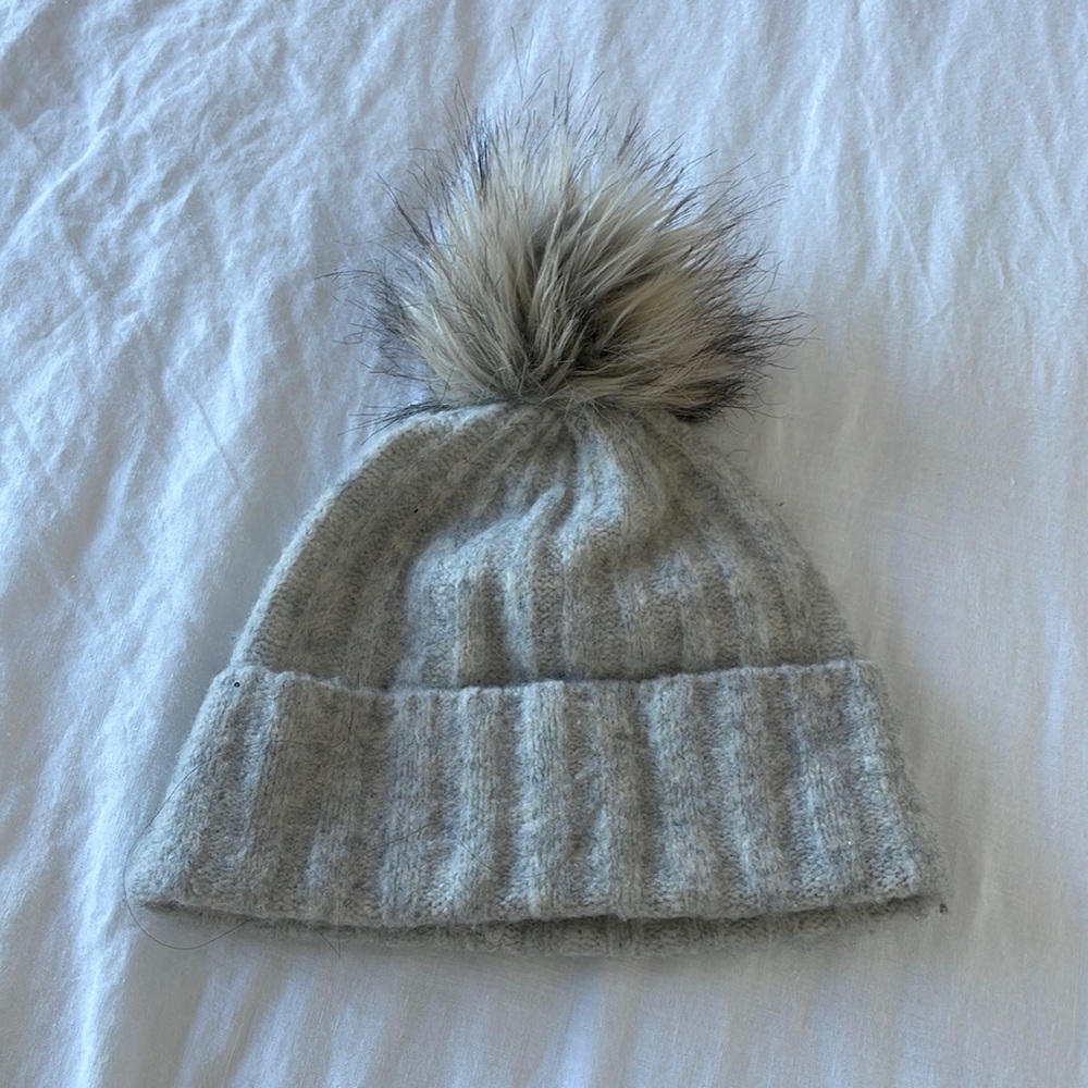 Aritzia Babaton Beanie